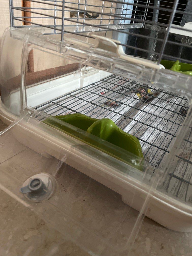 Bird cage Vision, Pet Supplies, Homes & Other Pet Accessories on Carousell