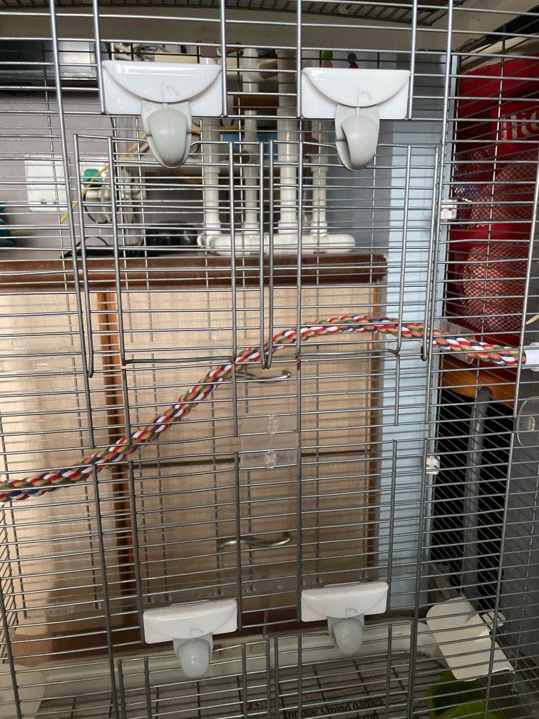 Bird cage Vision, Pet Supplies, Homes & Other Pet Accessories on Carousell