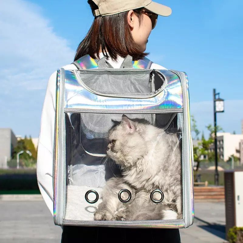 Transparent cat backpack cheap