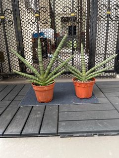 (Category: ) located in . Submitted by greatdeals_sg (Listing ID 1140252104, Image 1). Description: .