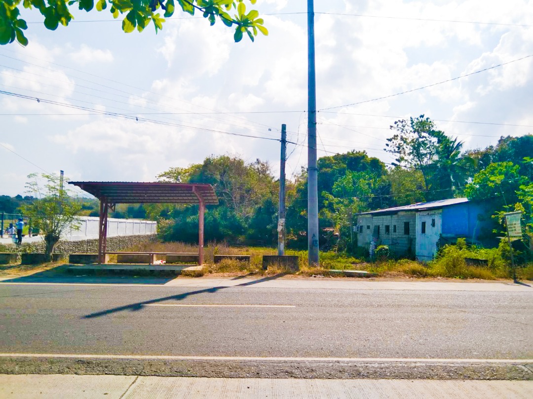 For SALE Titled Commercial Lot Sidaoen Sta Cruz Ilocos Sur, along