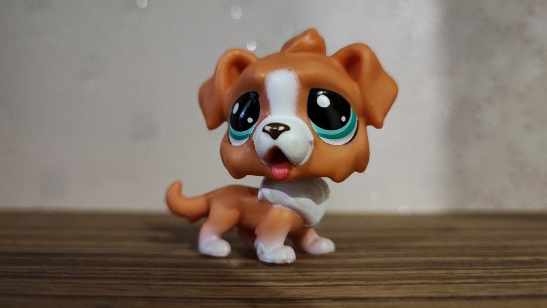 Lps AUTHENTIC ST BERNARD Dog Hobbies Toys Toys Games on Carousell