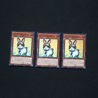 [new] YuGiOh Rescue Rabbit SR