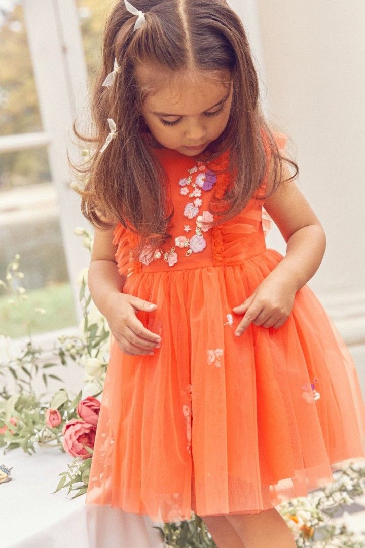 Next baby shop party dress