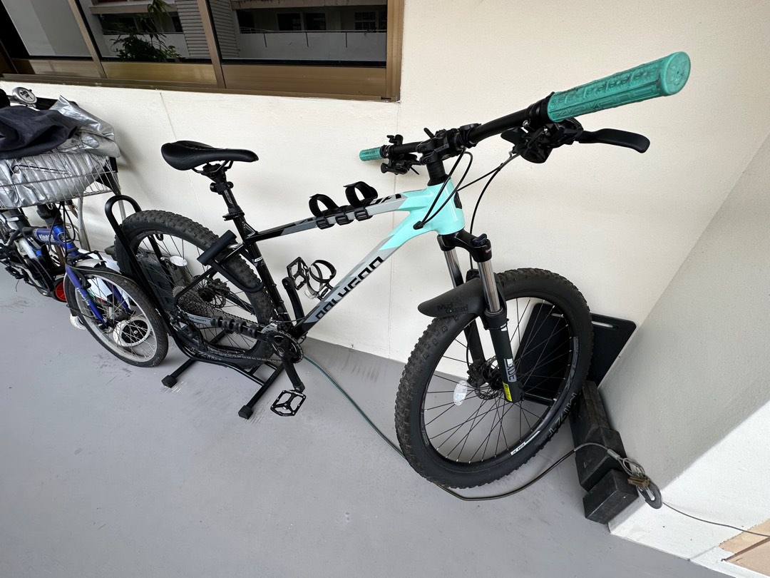 Polygon Xtrada 2021 (L Size), Sports Equipment, Bicycles