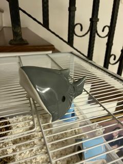 Shark Hamster Hideout