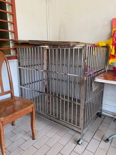 Stainless Steel Dog Cage
