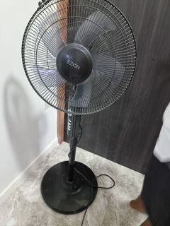 Standing Fan