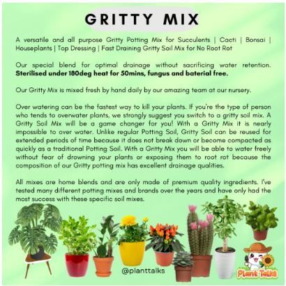 Bonsai Jack Succulent And Cactus Soil Cactus & Succulent Potting Soil Mix -  Fast Draining Gritty Blend With Zeolite, Pumice, Akadama, Worm Castings  Plant Food