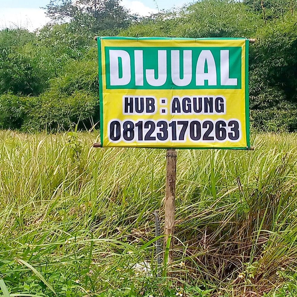 tanah_dijual_di_mijen_semarang_1678509296_facad8d5_progressive