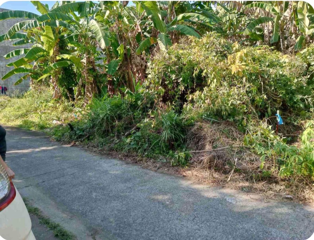 120sqm Lot FOR SALE! at Sunvalley Kingsville royal brgy. San Juan
