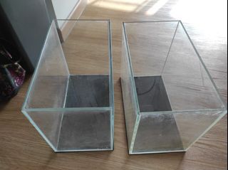 1 ft fish/shrimp tank