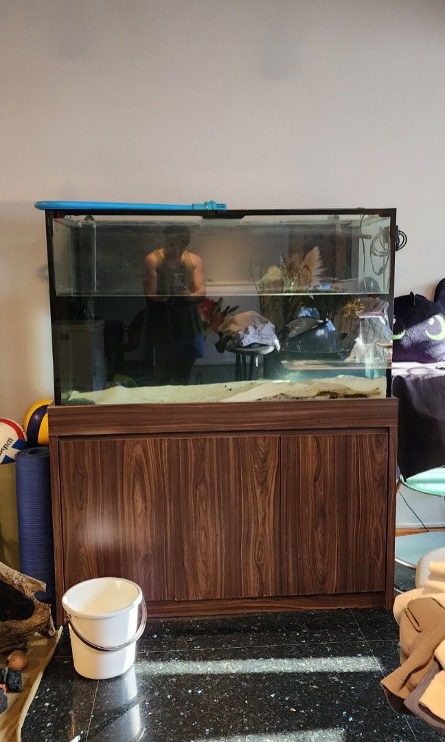 (4 Feet) Fish Tank with Pet Supplies, Homes & Other Pet Accessories on Carousell