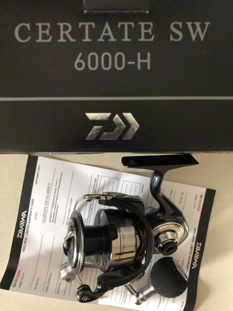 Daiwa Certate SW6000-H fishing reel, Sports Equipment, Fishing on