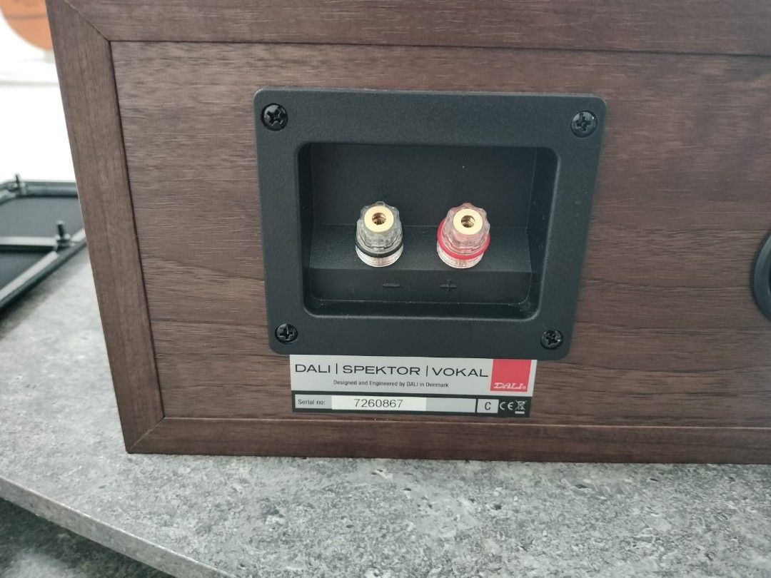 Dali Spektor Vocal Center Speaker, Audio, Soundbars, Speakers ...