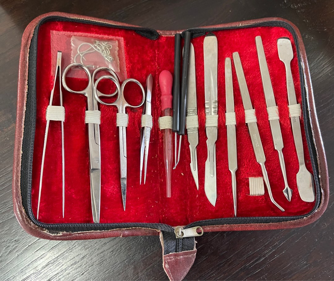 Dissection Kit, Hobbies & Toys, Stationery & Craft, Stationery & School