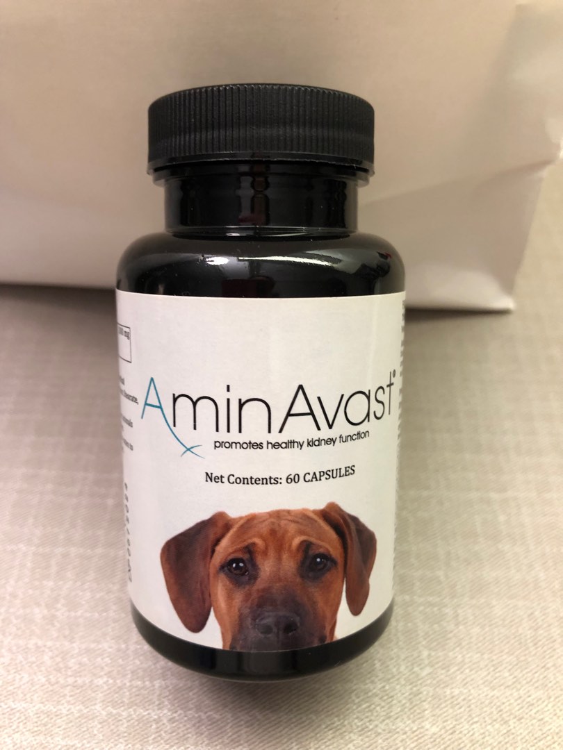 Dog Kidney Supplement Pet Supplies Health Grooming on Carousell