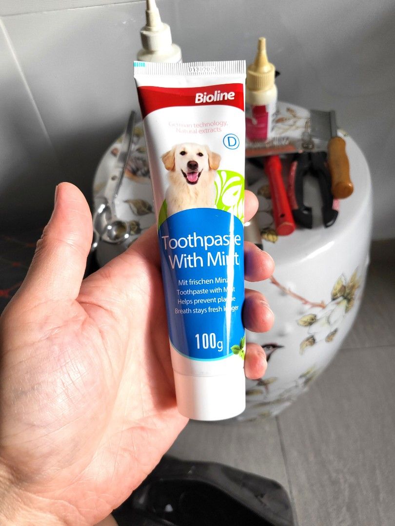 Dog toothpaste, Pet Supplies, Homes & Other Pet Accessories on Carousell