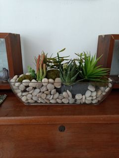 Mini plastic Succulents display in pot
