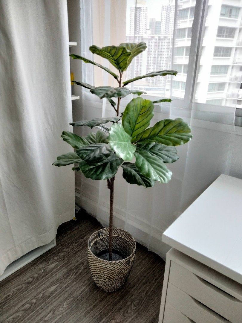 VARIOUS Ikea fake plant tree Fejka, Furniture & Home Living, Home Decor