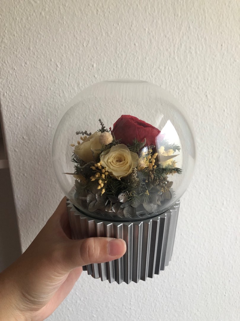 Preserved flower music box, Hobbies & Toys, Stationery & Craft, Flowers