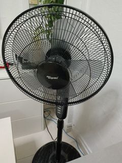 (Category: ) located in . Submitted by elton_wee (Listing ID 1220268361, Image 1). Description: .