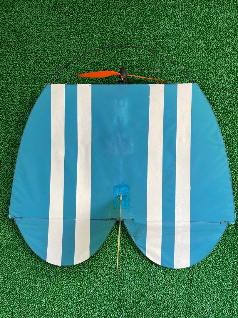 Vintage remote control kite, Hobbies & Toys, Toys & Games on Carousell