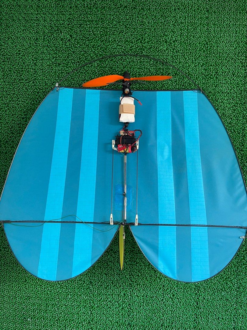 Vintage remote control kite, Hobbies & Toys, Toys & Games on Carousell