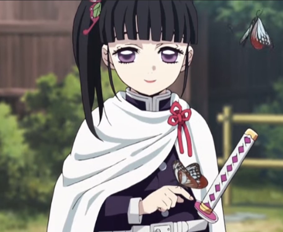 WTS/WTT Kanao Tsuyuri Cosplay Demon Slayer,