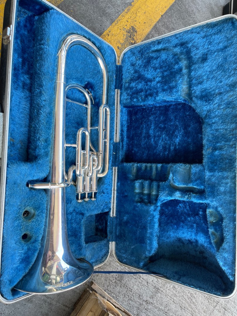 Yamaha YAH201S alto horn, Hobbies & Toys, Music & Media, Musical