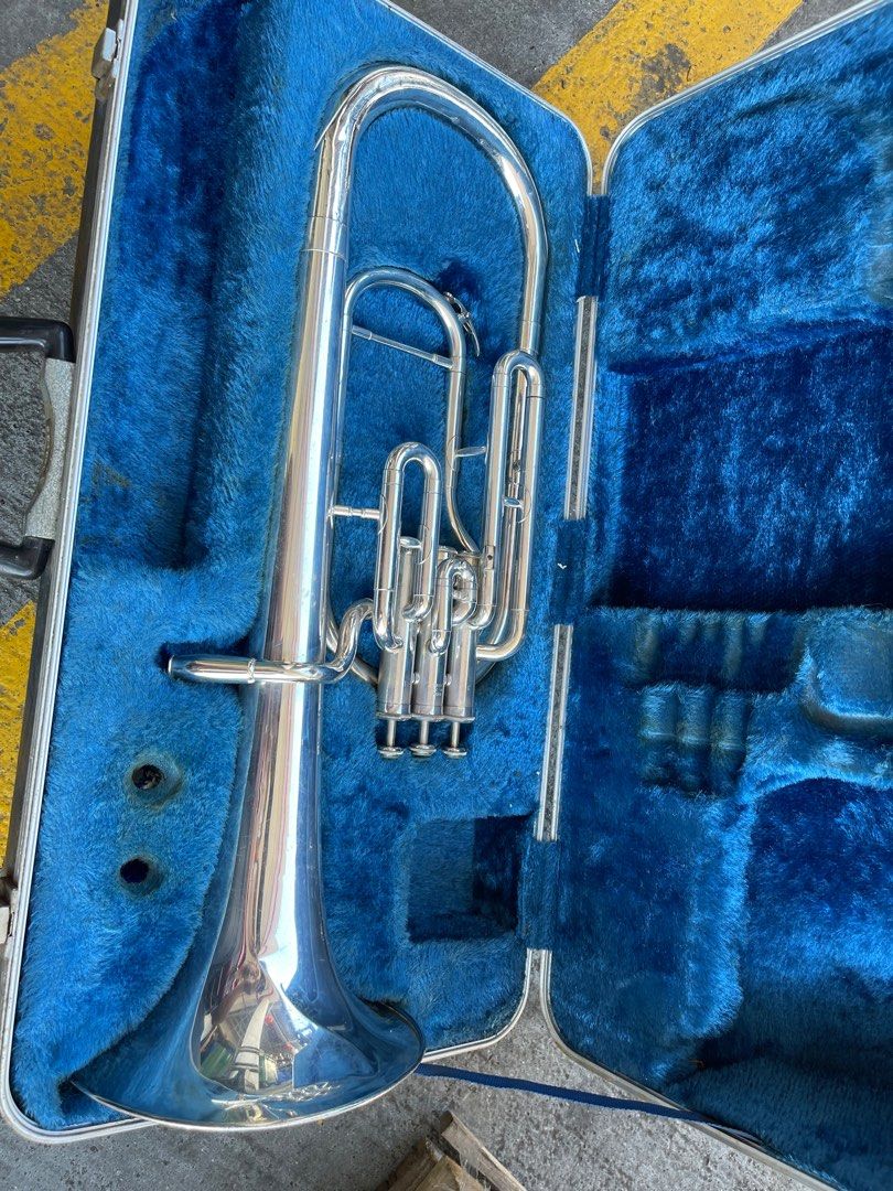 Yamaha YAH201S alto horn, Hobbies & Toys, Music & Media, Musical