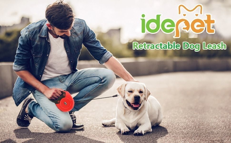 Anti chew retractable dog sale lead