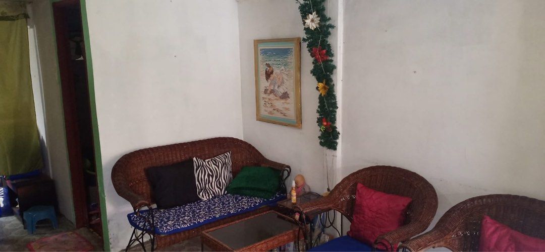 36sqm house and lot for sale south square village pasong kawayan