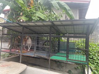(Category: ) located in . Submitted by Trendeee.Cainta (Listing ID 1220453230, Image 1). Description: .