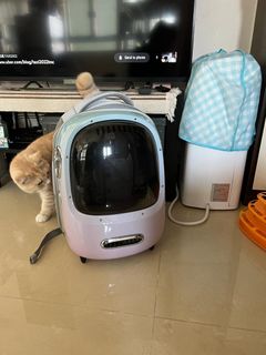 （分類：）位於 。 由 hksuperbug 提交（商品編號 1220403366，圖片 1）。簡介： 。