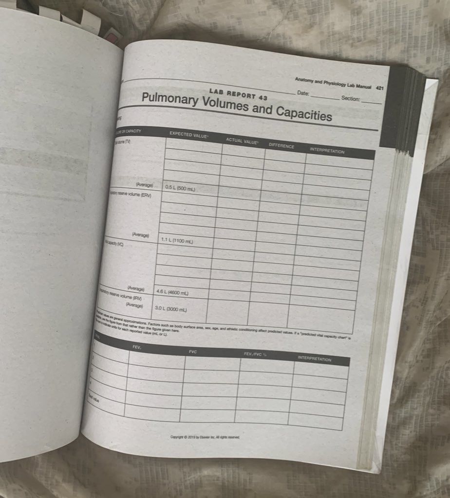 anatomy and physiology laboratory manual by kevin patton, Hobbies ...