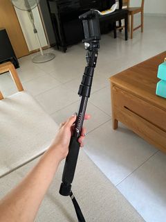 (Category: ) located in . Submitted by thengtyng (Listing ID 1220407588, Image 1). Description: .