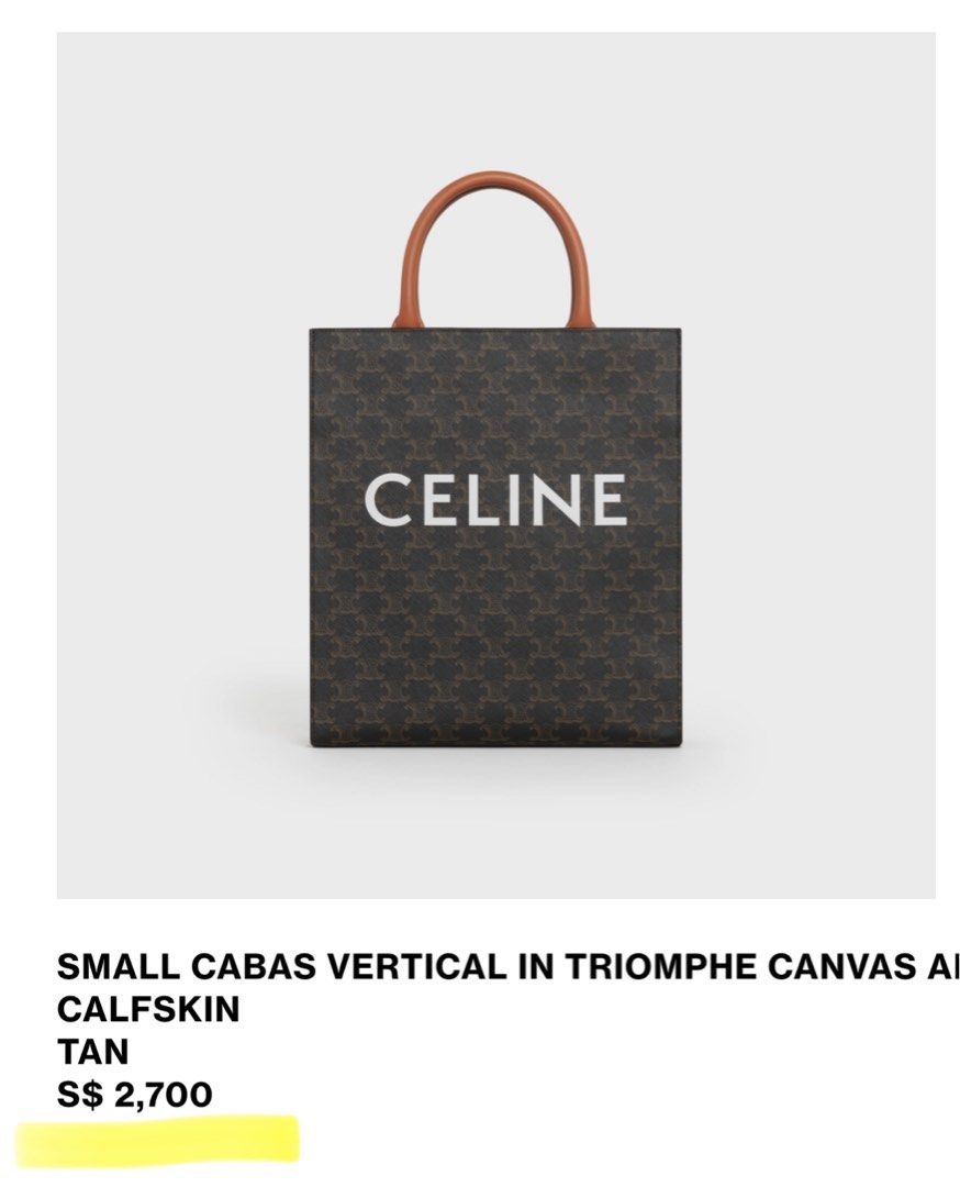 Celine Triomphe Vertical Cabas Small Calfskin Canvas Bag