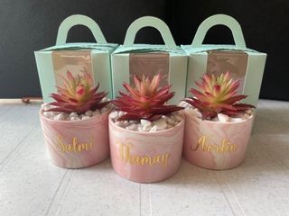 Customised gift potted succulent plant artificial in pink marble pot giftbox home office desktop decor for office colleagues boss last day farewell wedding favor bridesmaid birthday present get well soon teacher hari raya appreciation personalised gift