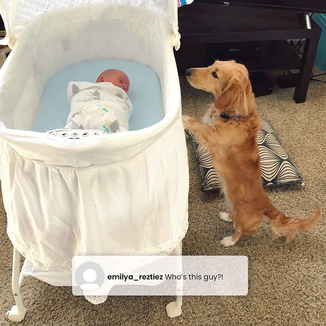 Delta children playtime store rocking jungle bassinet
