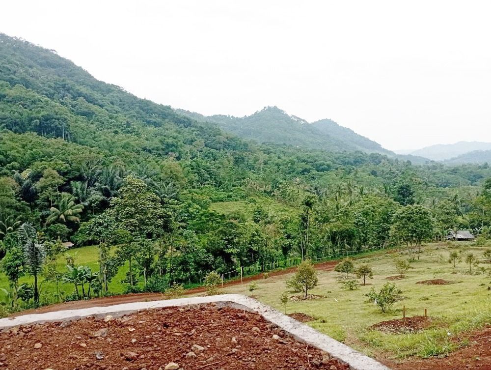 dijual_lahan_kebun_durian_prem_1678689507_3a0ee922_progressive