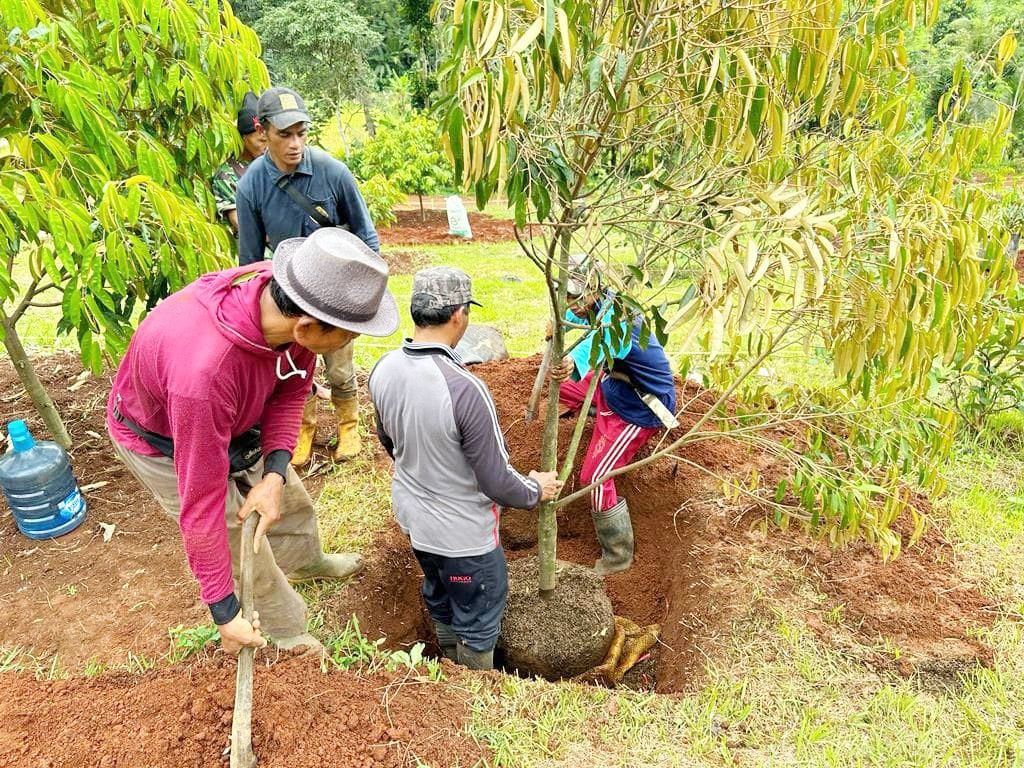 dijual_lahan_kebun_durian_prem_1678689507_f3983b87_progressive