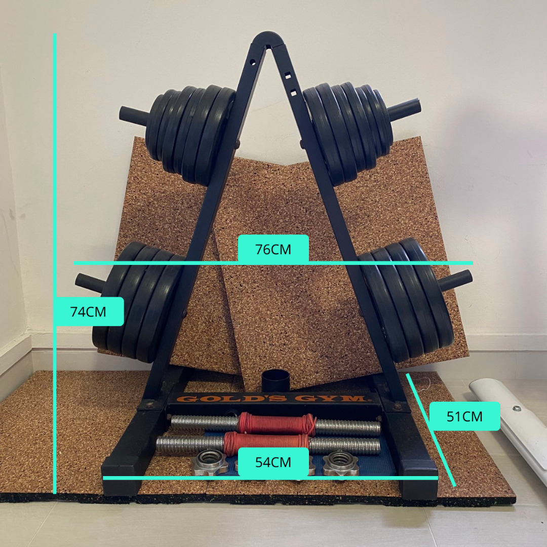 Home Gym (dumbbells, weights rack, bench, and mat), Sports Equipment