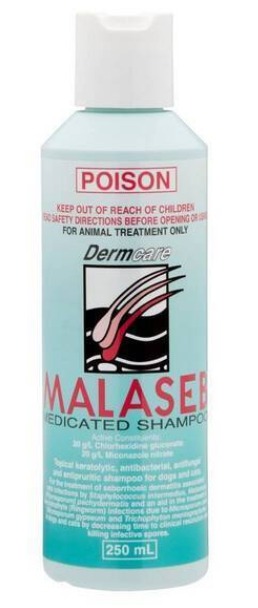 Malaseb for shop dogs