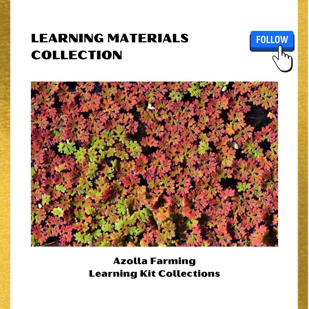 Azolla Farming Printable Learning Kit Collections, Urban Gardening ...