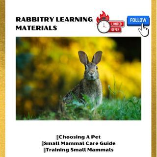 Printable Learning Manuals for New or Aspiring Pet Owners of Rabbit, Hamster/Gerbil, Rat/Mouse, and Guinea Pig