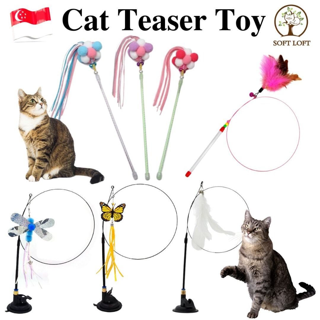 SG SELLER】Cat Teaser Kitty Toys Feather Long Rod Suction Cup