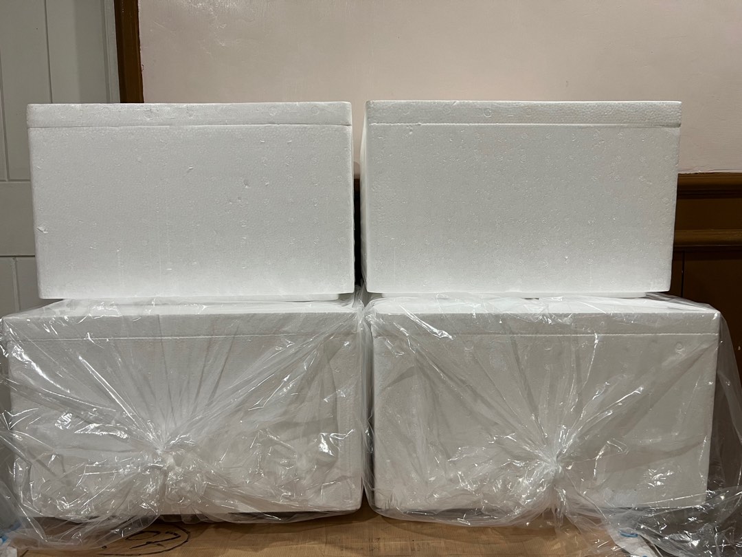 Styro Box (Hydrophonics For Beginners), Furniture & Home Living, Home