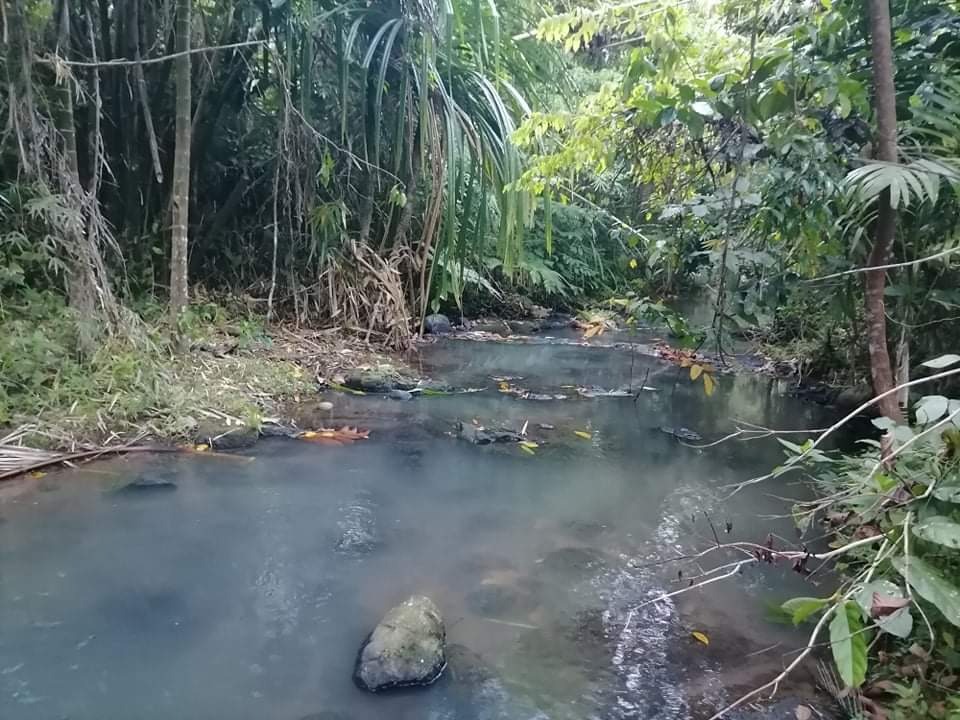 6.5 Titled Hectares Sorsogon City, Property, For Sale, Lot on Carousell