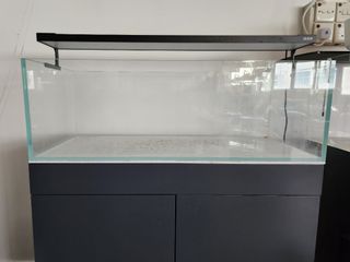 （分類：）位於 。 由 savy_111 提交（商品編號 1220578358，圖片 1）。簡介： 。